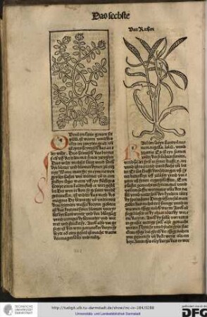 Von rathen.