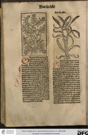 Von rathen.