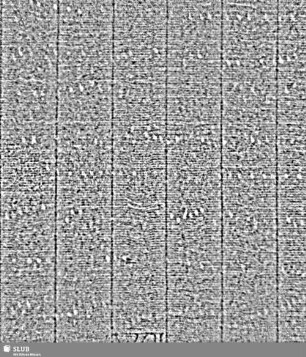 Lilienschild (gekrönt) + C & I HONIG / IV = S.13/14