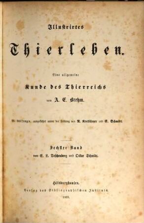 Illustrirtes Thierleben : eine allgemeine Kunde des Thierreichs, 6. Leben der Insekten, Tausendfüßler und Spinnenthiere
