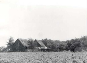 Wirtschaftsgebäude in Bluno : Bauwesen - Wirtschaftsgebäude und Gehöfte. Ort: Bluń / Bluno. Haus Nr. 83/84, Zwei Scheunen mit Strohdach.