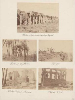 5 Aufnahmen von Ruinen und Palmen auf Philea in Ägypten