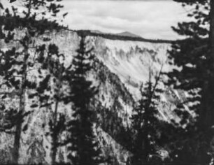 Grand Canyon of the Yellowstone : Blick auf den Rand des Grand Canyon of the Yellowstone