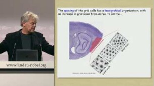 The Brain’s Codes for Space and Time