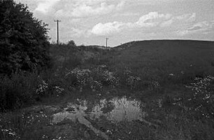 Angermünde : Bei Angermünde, Mündesee-Rundweg