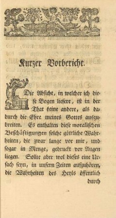 Kurzer Vorbericht