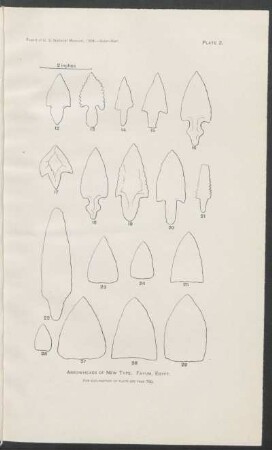 Plate 2. - Arrowheads of new type. Fayum, Egypt.