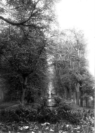Schloß Hermsdorf bei Dresden. Parkanlagen (um 1730 und 1764). Baumallee und Wassergraben, Seitenarm der Großen Röder, mit Bogenbrücke gegen Südseite des Schlosses. Fotografie von U. Richter, um 1925