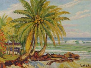 Kokospalmen am Costa Rico-Hafen Port Limon