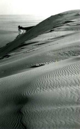 Sanddünen, Kurische Nehrung