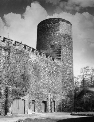 Burg Reichenstein