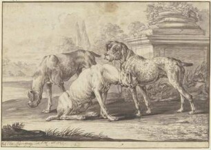 Drei Jagdhunde