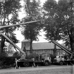 Dorfanger: Lindenallee: Baumpflegearbeiten: zwei Spezialfahrzeuge mit ausgefahrenen Arbeitsbühnen an Kirchenstraße: dahinter Baumreihe: im Hintergrund Evangelische Kirche Eichede