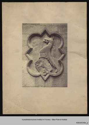 Wappen des Podestà Canossa da Reggio: Panther in Kartusche
