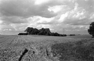 Liebenberg
