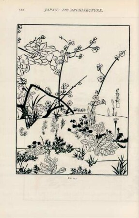 Fig. 143.
