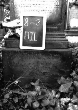 Grabstein A II/8/3 (Detailaufnahme 2)