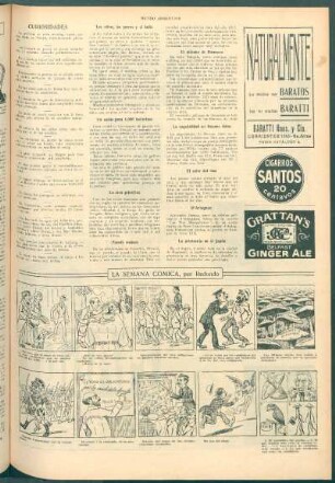 Los niños, los perros y el baño