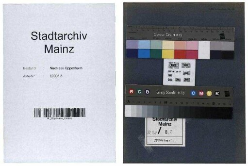 Einmarsch der Amerikaner in Mainz am 22.03.1945, geschildert von Mainzer Bürgern