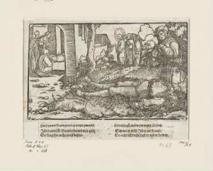 Von dem verlorenen Bruder, aus: "Petrarcas Glücksbuch", Band II, Kapitel 51
