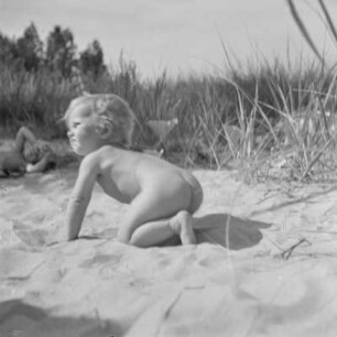 Kleinkind krabbelt am Strand