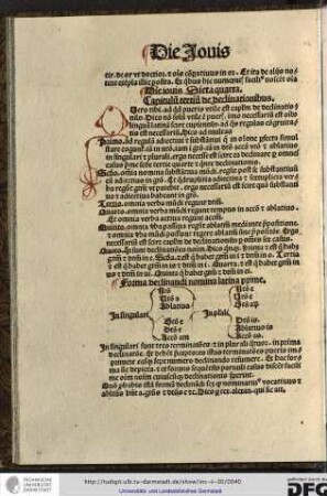 Capitulum tertium de declinationibus.