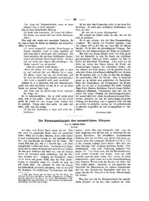 Die Formenschönheit des menschlichen Körpers : (Schluß)