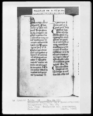Diurnale aestivale mit Brevierteilen — ---, Folio 294versoZierinitiale