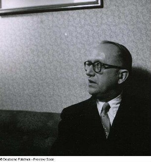 Portraitserie Walter Hallstein