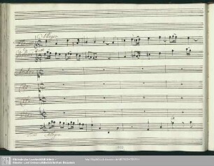 Quartetto: Lieto il ciel più che non suole