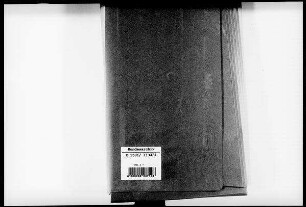 Organisation Escherich: Bd. 2