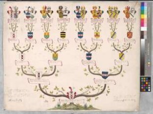 Proband: Boenen, Wilhelm Gisbert Caspar von; Vater: Boenen, Wilhelm Ludolph von; Mutter: Recke, Anna Josina Juliana Catharina Johanna Theodora von der: Recklinghausen, Vest, Ritterschaft