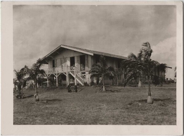 Fazenda (film : "Urwelt im Urwald")