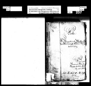 Mutter Gottes Vereinigt Feld samt Gott Mit Uns, zu Berggießhübel, Band 1
