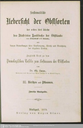 III. Kirschen und Pflaumen