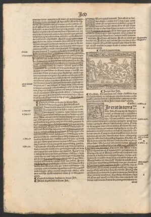 Item secundus prologus in librum Iob ...