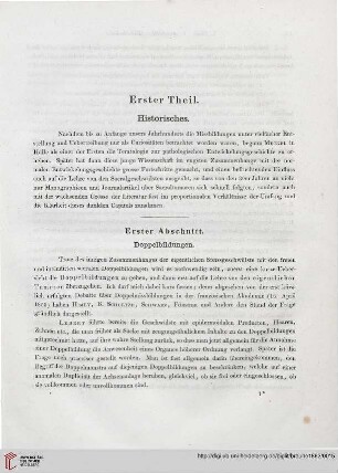 Erster Theil: Historisches