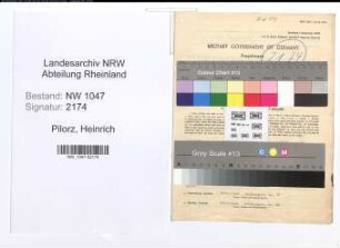 Entnazifizierung Heinrich Pilorz , geb. 10.08.1902 (Vertreter)
