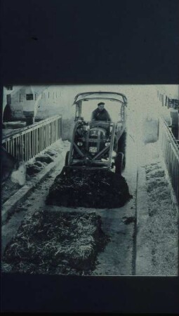 Fotografie: Fütterungstechnik, Futtervorlage, Futtertisch, Silage, Frontlader