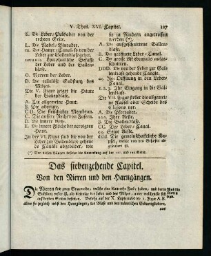 127-146, XVII. Capitel XIX. Capitel