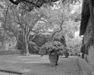 Garten der Villa Massei