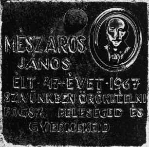 Gedenktafel für Janos Meszaros