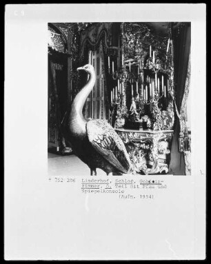 Pfau