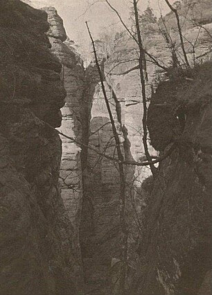 Elbsandsteingebirge. Pfaffenstein. Schlucht am Nordende