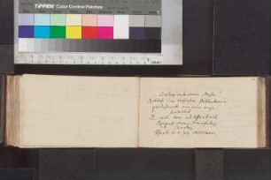 Uffenbach, Zacharias Konrad von; Blatt 116