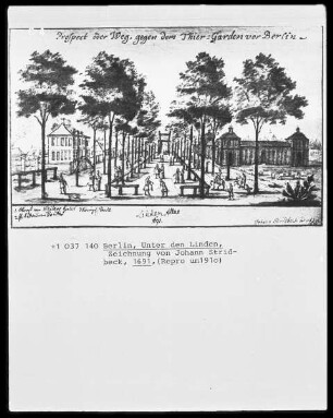 Älteste Ansicht der Linden mit einem Marstall an der Stelle der gegenwärtigen Staatsbibliothek