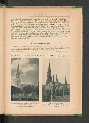 Der Schleswiger Dom von der Schlei aus gesehen