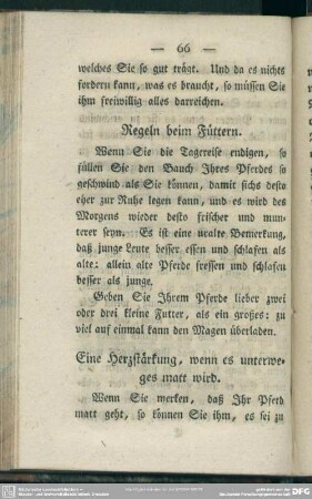 Regeln beim Füttern