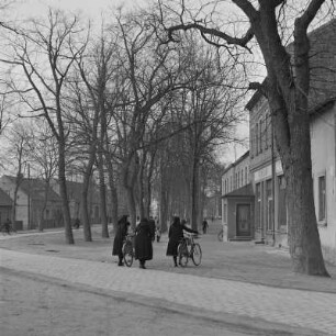 Kirchgängerinnen in Schleifer Tracht in Schleife. : Kemšerki w Slepjanskej drasće w Slepom.