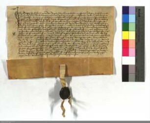 Groppe v. Fleckenbühl gen. Bürgeln giebt seine Einwilligung dazu, daß Peter v. St. Nabor die Heyne Wiese u. die zwei Wiesen im Assolder gelegen, w...